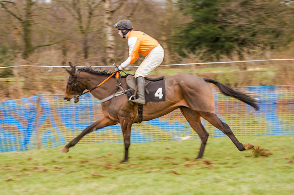 Race 5 - Open Maiden (58 of 134)