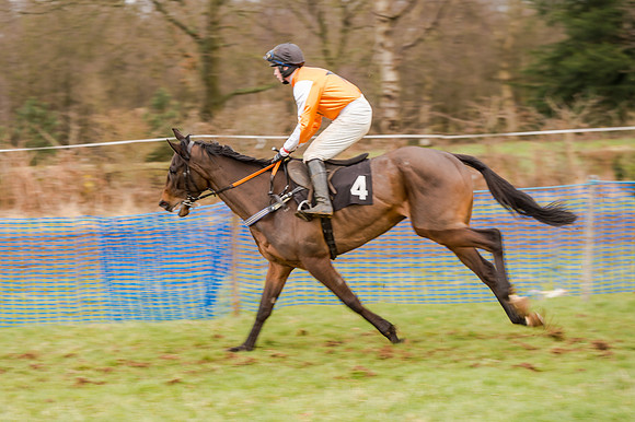Race 5 - Open Maiden (59 of 134)