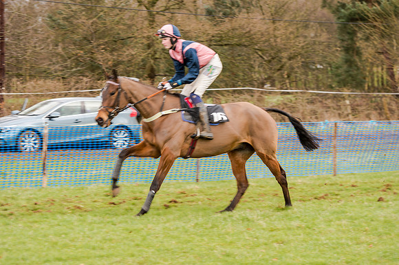 Race 5 - Open Maiden (60 of 134)