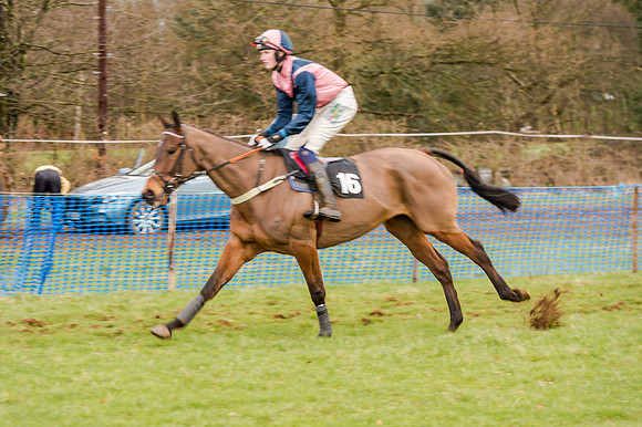 Race 5 - Open Maiden (61 of 134)