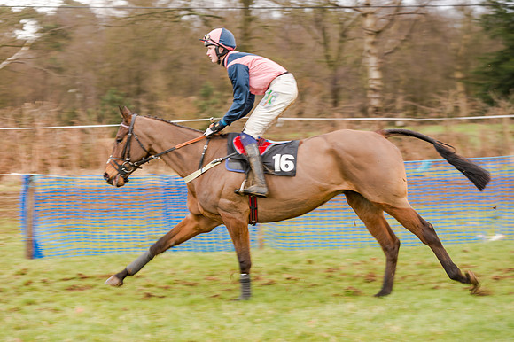 Race 5 - Open Maiden (62 of 134)