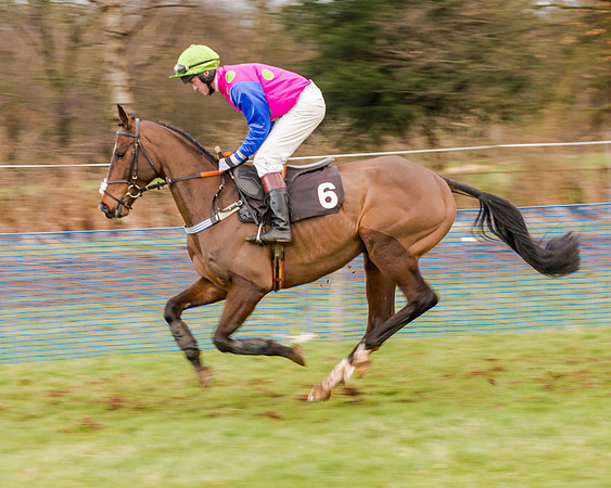 Race 5 - Open Maiden (63 of 134)