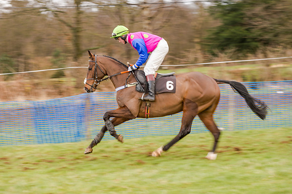 Race 5 - Open Maiden (64 of 134)