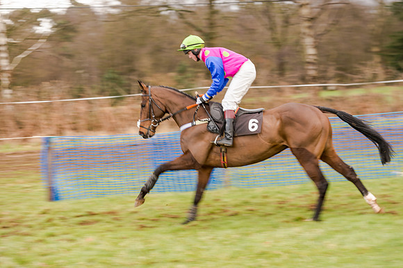 Race 5 - Open Maiden (65 of 134)