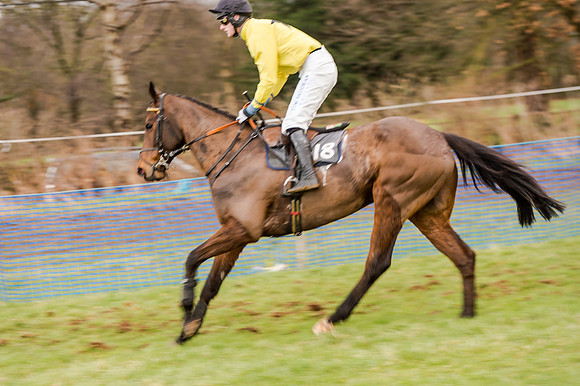 Race 5 - Open Maiden (67 of 134)