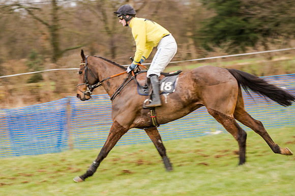 Race 5 - Open Maiden (68 of 134)