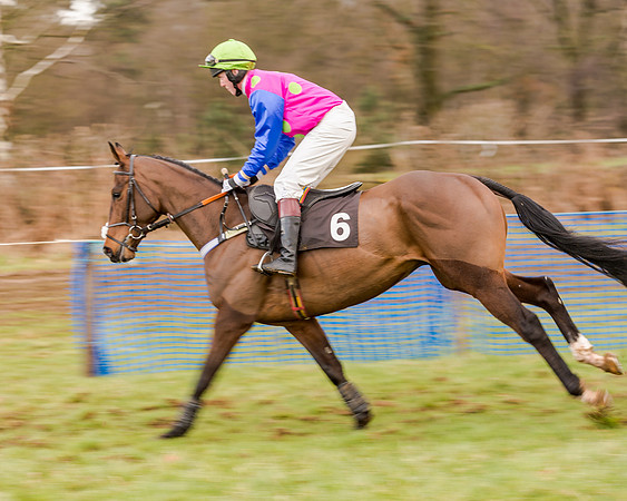 Race 5 - Open Maiden (66 of 134)