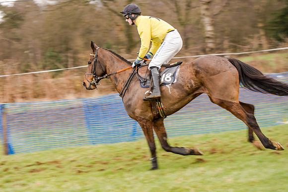 Race 5 - Open Maiden (69 of 134)