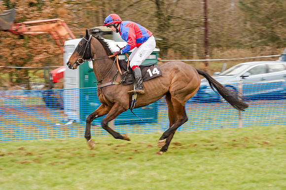 Race 5 - Open Maiden (70 of 134)