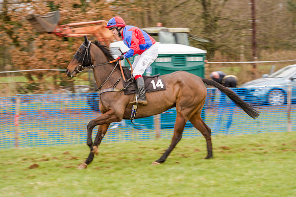 Race 5 - Open Maiden (71 of 134)
