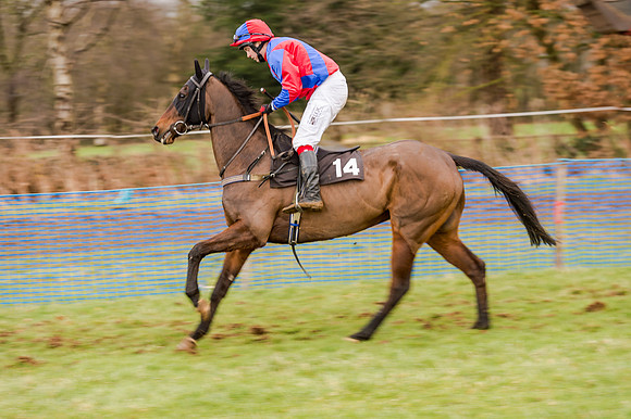 Race 5 - Open Maiden (72 of 134)
