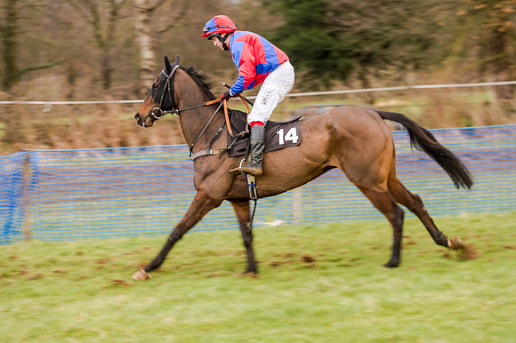 Race 5 - Open Maiden (73 of 134)