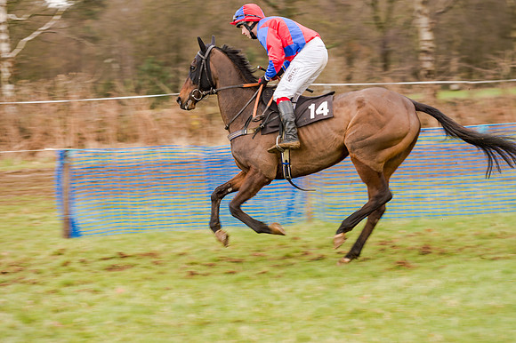 Race 5 - Open Maiden (74 of 134)