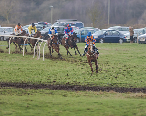 Race 5 - Open Maiden (81 of 134)