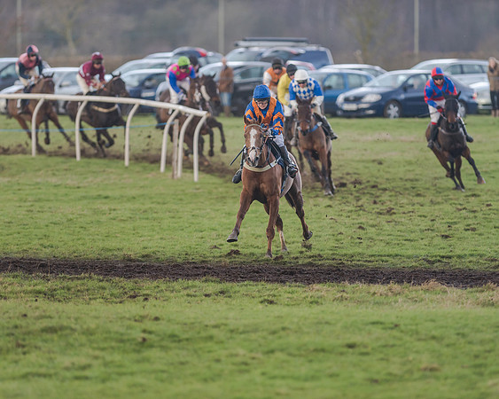 Race 5 - Open Maiden (83 of 134)