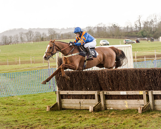 Race 5 - Open Maiden (87 of 134)