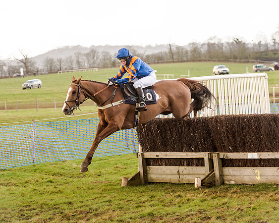 Race 5 - Open Maiden (88 of 134)