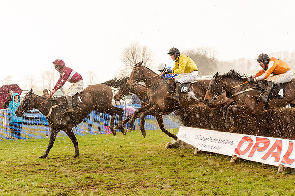 Race 5 - Open Maiden (113 of 134)