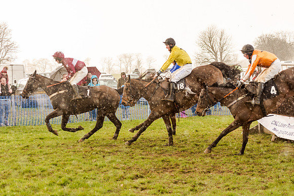 Race 5 - Open Maiden (115 of 134)