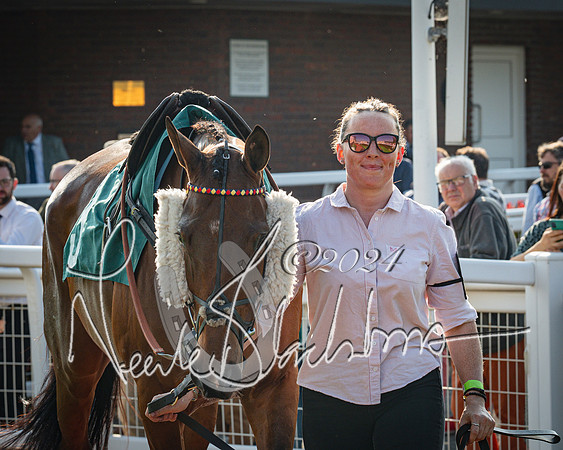 Race 3 - The Junior Jumpers open hunter's steeple chase 3m1f56y (14 of 156)