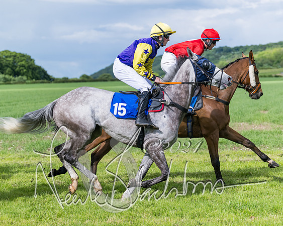 Race 5 - Restricted Race (217 of 434)