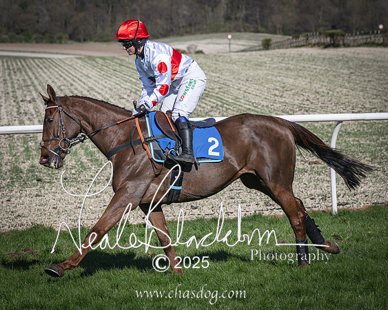 Race 6 - Veteran horse (33 of 109)