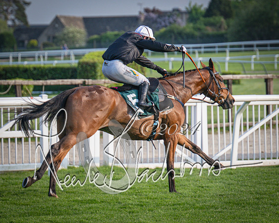 Race 4 - The Jonathan Neesom memorial open Hunter’s steeplechase 3m2f 70y (113 of 167)
