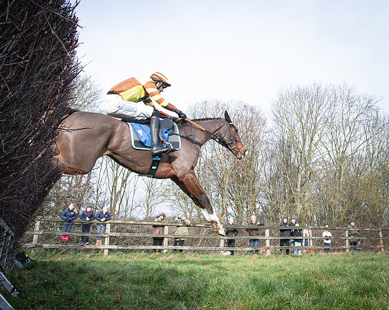 Race 1 - All Is True - Jack Andrews (20 of 38)