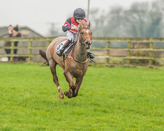 138cm Pony Race-48