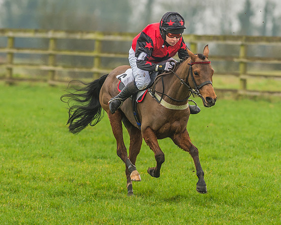 138cm Pony Race-56