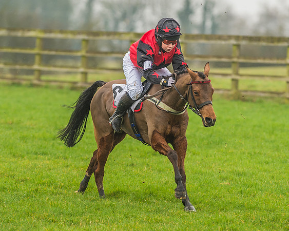 138cm Pony Race-57