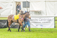 148cm Novice Riders Pony Race-15