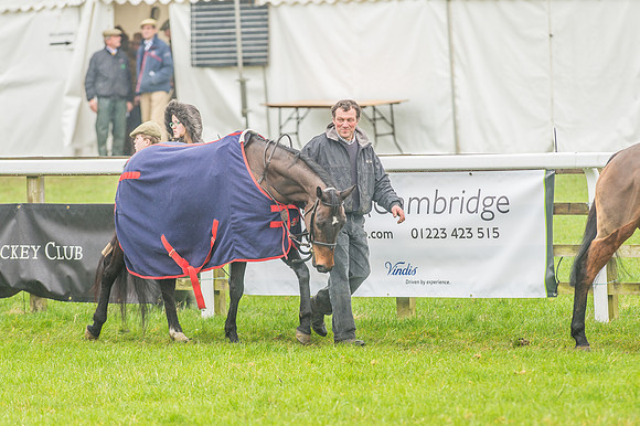 148cm Novice Riders Pony Race-16