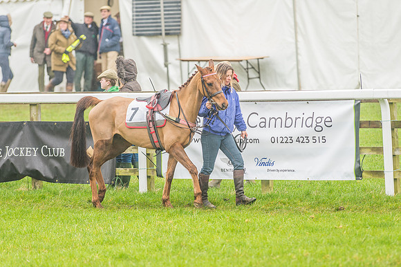 148cm Novice Riders Pony Race-17