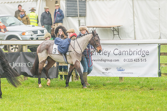 148cm Novice Riders Pony Race-19