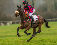 Pony Races