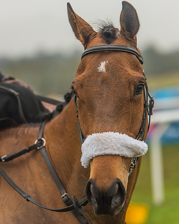 Side Saddle Dash -266
