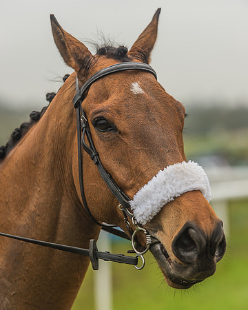 Side Saddle Dash -268
