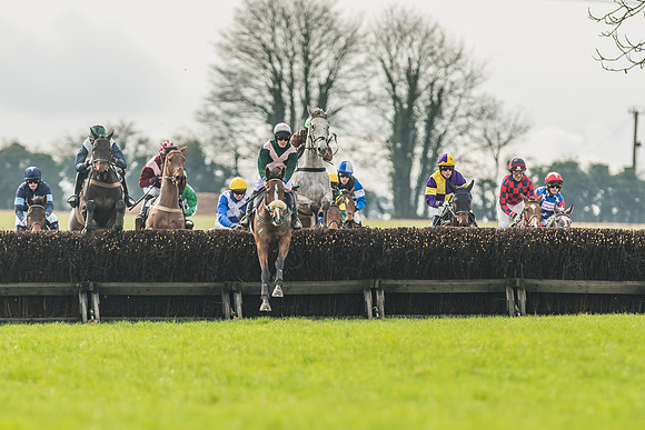 Race 2 - Mares and Fillies Maiden-3