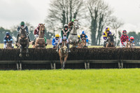 Race 2 - Mares and Fillies Maiden-4