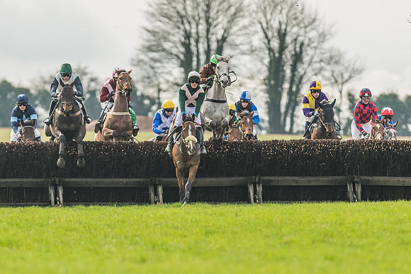 Race 2 - Mares and Fillies Maiden-4