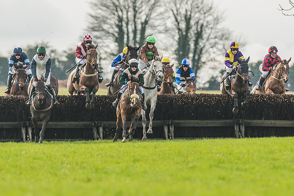 Race 2 - Mares and Fillies Maiden-6