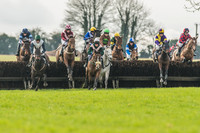 Race 2 - Mares and Fillies Maiden-7