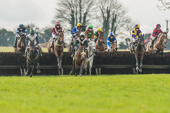 Race 2 - Mares and Fillies Maiden-7