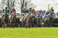 Race 2 - Mares and Fillies Maiden-8
