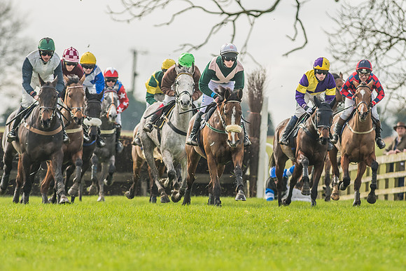 Race 2 - Mares and Fillies Maiden-9