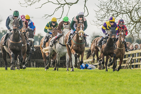Race 2 - Mares and Fillies Maiden-11