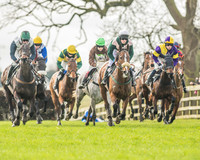 Race 2 - Mares and Fillies Maiden-12