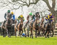 Race 2 - Mares and Fillies Maiden-13