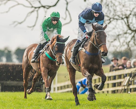 Race 2 - Mares and Fillies Maiden-14